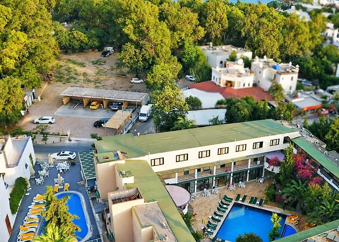 Casa Blue