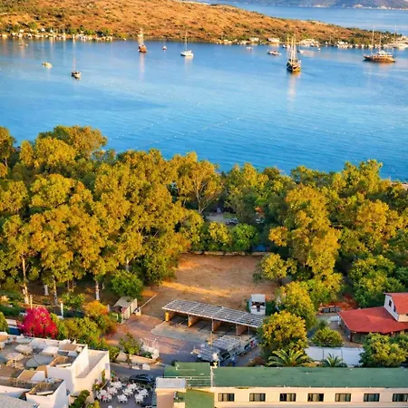 Casa Blue Ξενοδοχείο Αλικαρνασσός